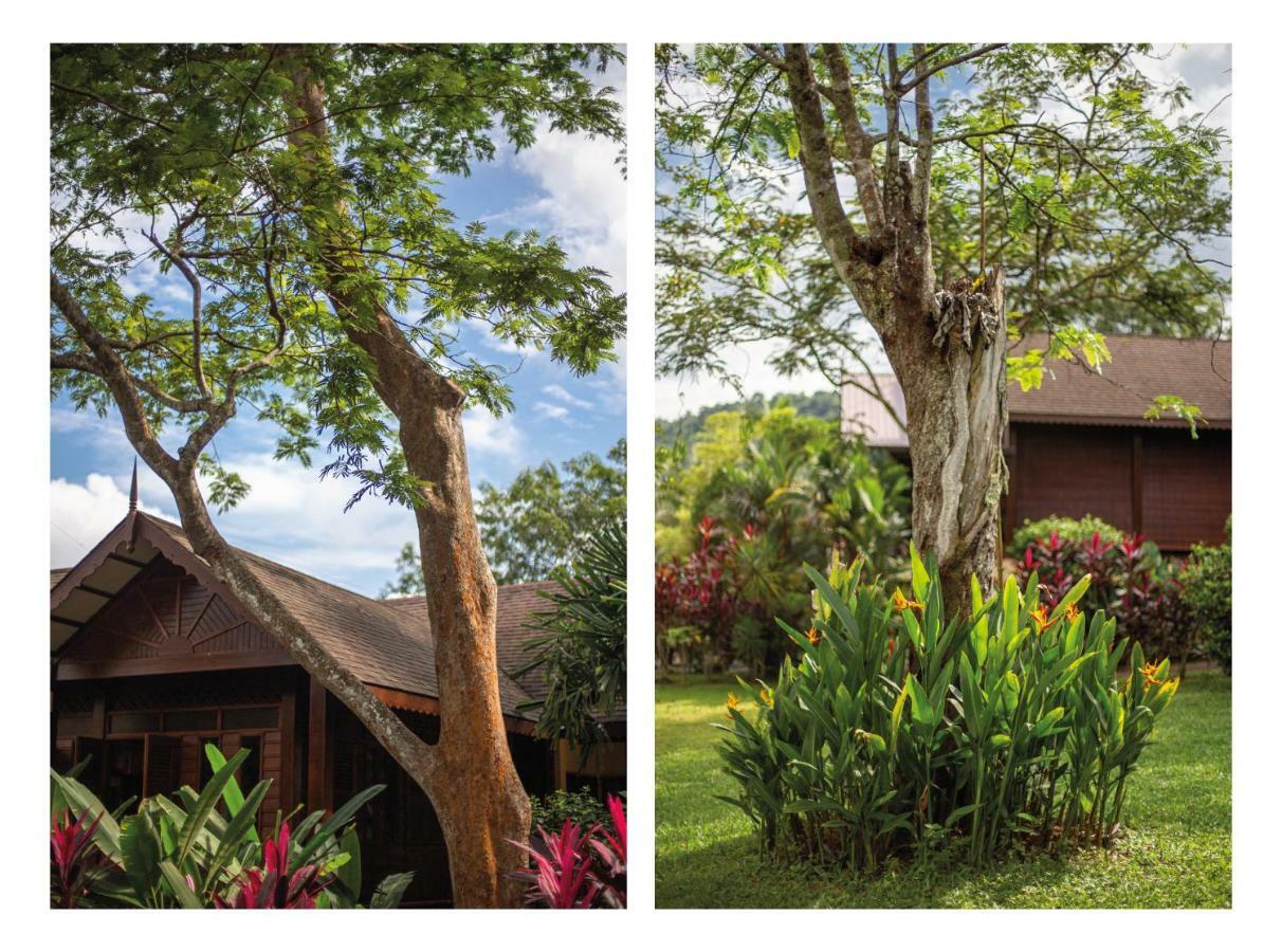 Sunset Valley Holiday Houses Padang Mat Sirat Luaran gambar